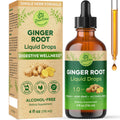 GINGER ROOT Liquid Drops 4 fl oz