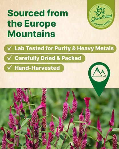 Amaranth Flowers Herbal Tea — 30 Tea Bags