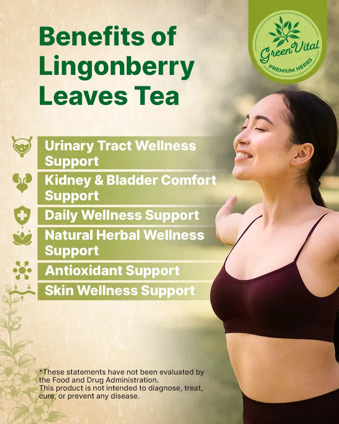 Cowberry Lingonberry Leaf Tea — 50 Tea Bags