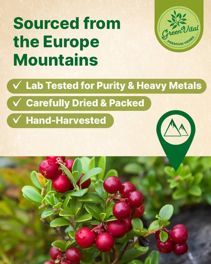 Cowberry Lingonberry Leaf Tea — 50 Tea Bags