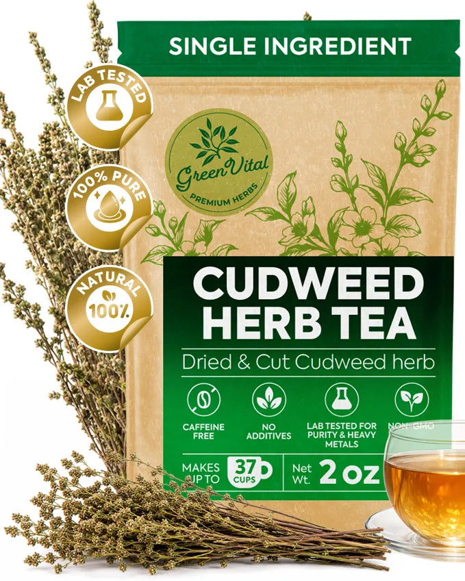 Cudweed Herb Loose Tea — 2 oz