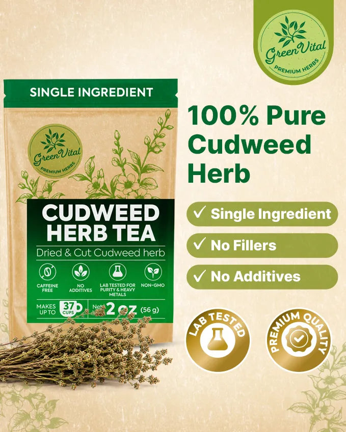 Cudweed Herb Loose Tea — 2 oz