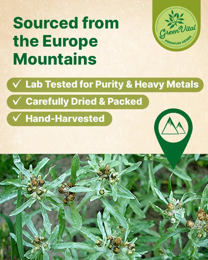 Cudweed Herb Loose Tea — 2 oz