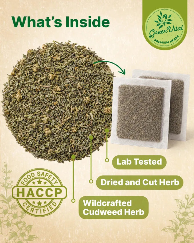Cudweed Herb Loose Tea — 2 oz
