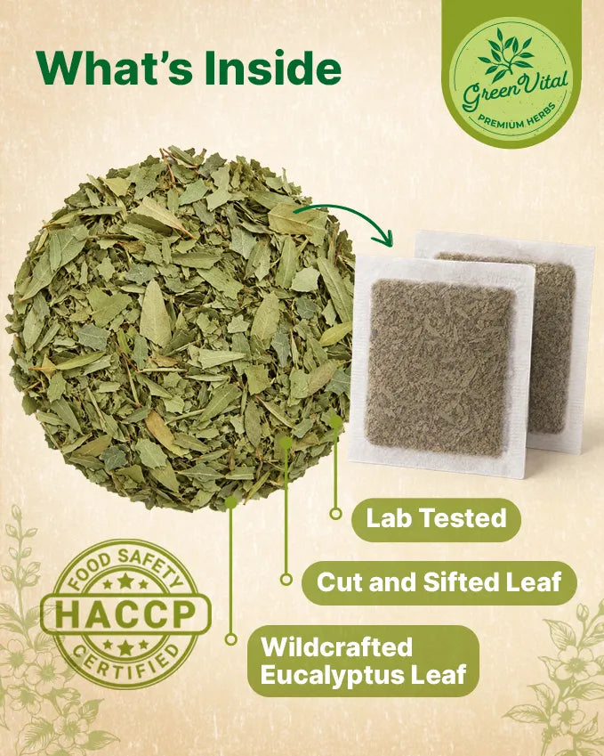 Eucalyptus Leaf Herbal Tea — 50 Tea Bags
