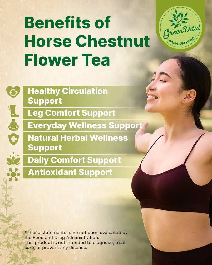 Horse Chestnut Flower Loose Herb — 2 oz