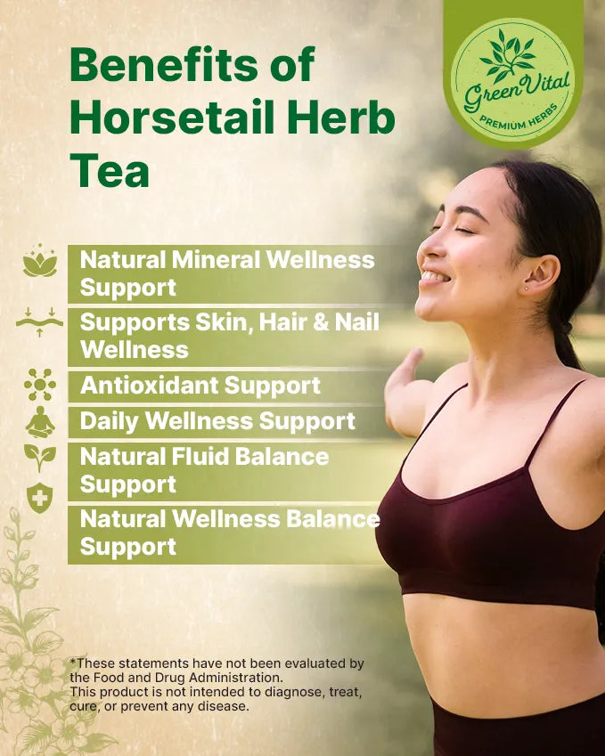 Horsetail Herb Loose Tea — 1.8 oz