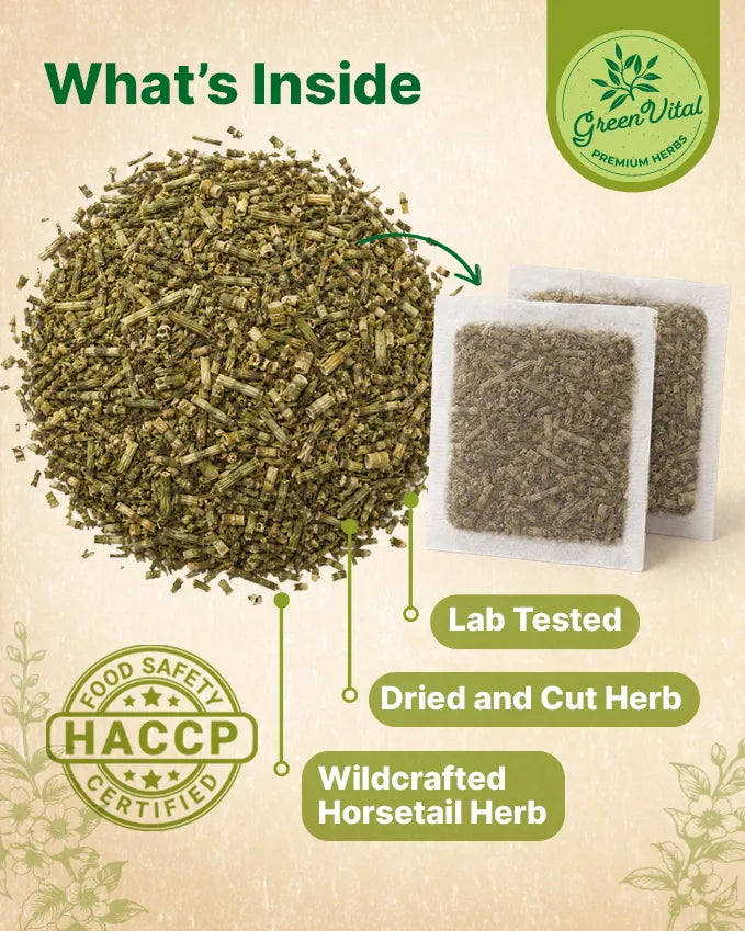 Horsetail Herb Loose Tea — 1.8 oz