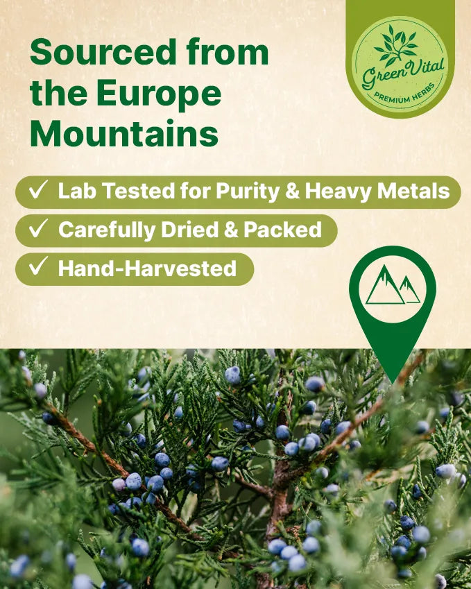 Juniper Berry Herbal Tea — 50 Tea Bags