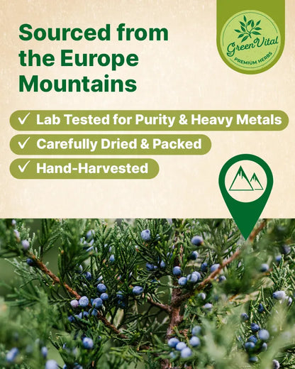 Juniper Berry Herbal Tea — 50 Tea Bags
