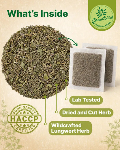 Lungwort Herb Loose Tea — 2 oz