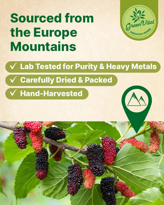 Mulberry Fruit Tea — 30 Tea Bags