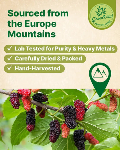 Mulberry Fruit Tea — 30 Tea Bags
