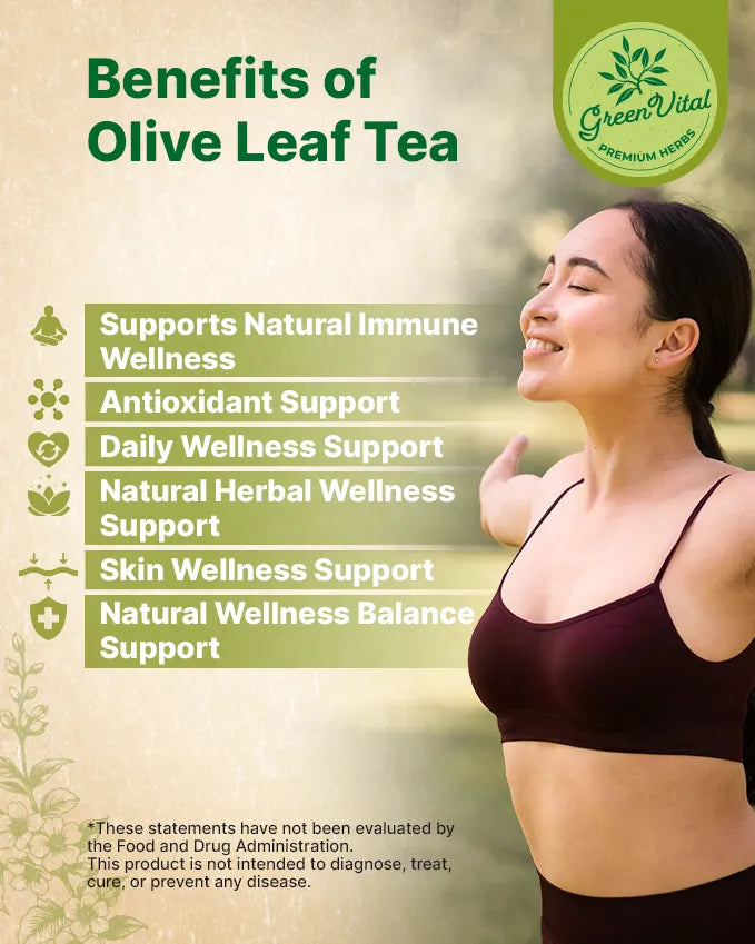 Olive Leaf Herbal Tea — 30 Tea Bags