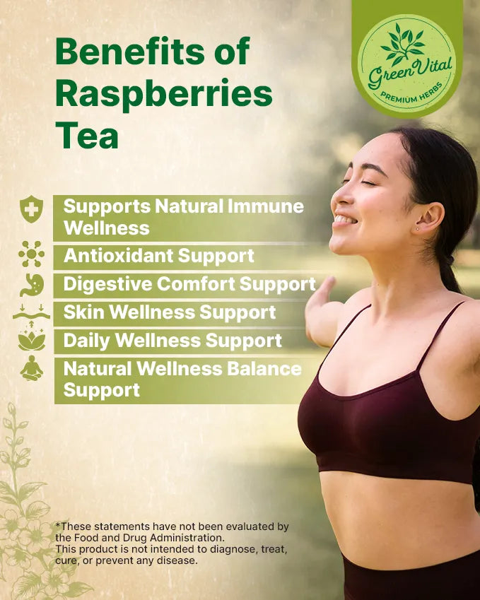 Red Raspberry, Apple & Elderberry Fruit Tea — 100 Tea Bags
