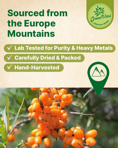 Sea Buckthorn Fruit Tea — 30 Tea Bags