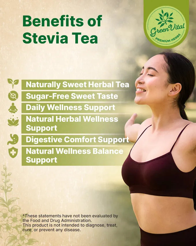 Stevia Leaf Herbal Tea — 50 Tea Bags