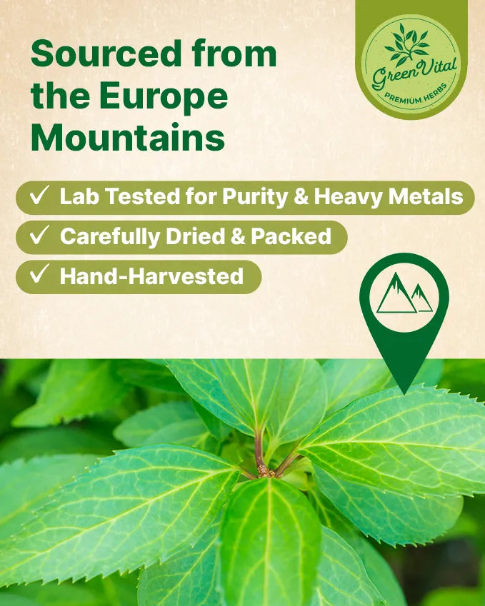Stevia Leaf Herbal Tea — 50 Tea Bags